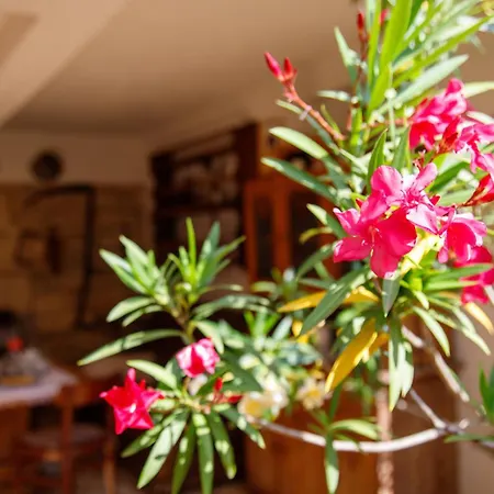 Little App - Magical Surrounding Apartamento Sveti Petar u Sumi
