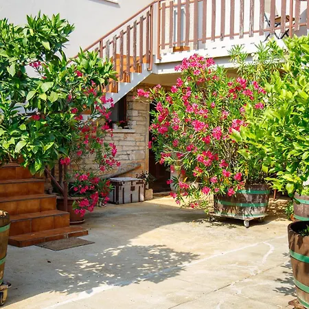 Little App - Magical Surrounding Sveti Petar u Sumi