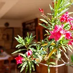 Little App - Magical Surrounding Apartament Sveti Petar u Sumi