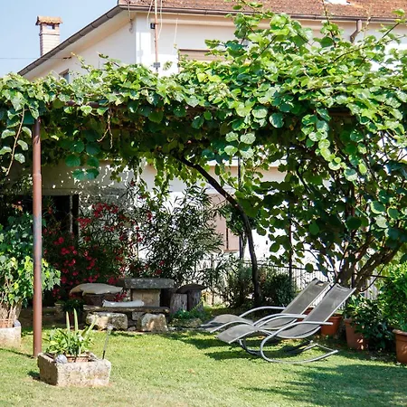 Little App - Magical Surrounding * Sveti Petar u Sumi